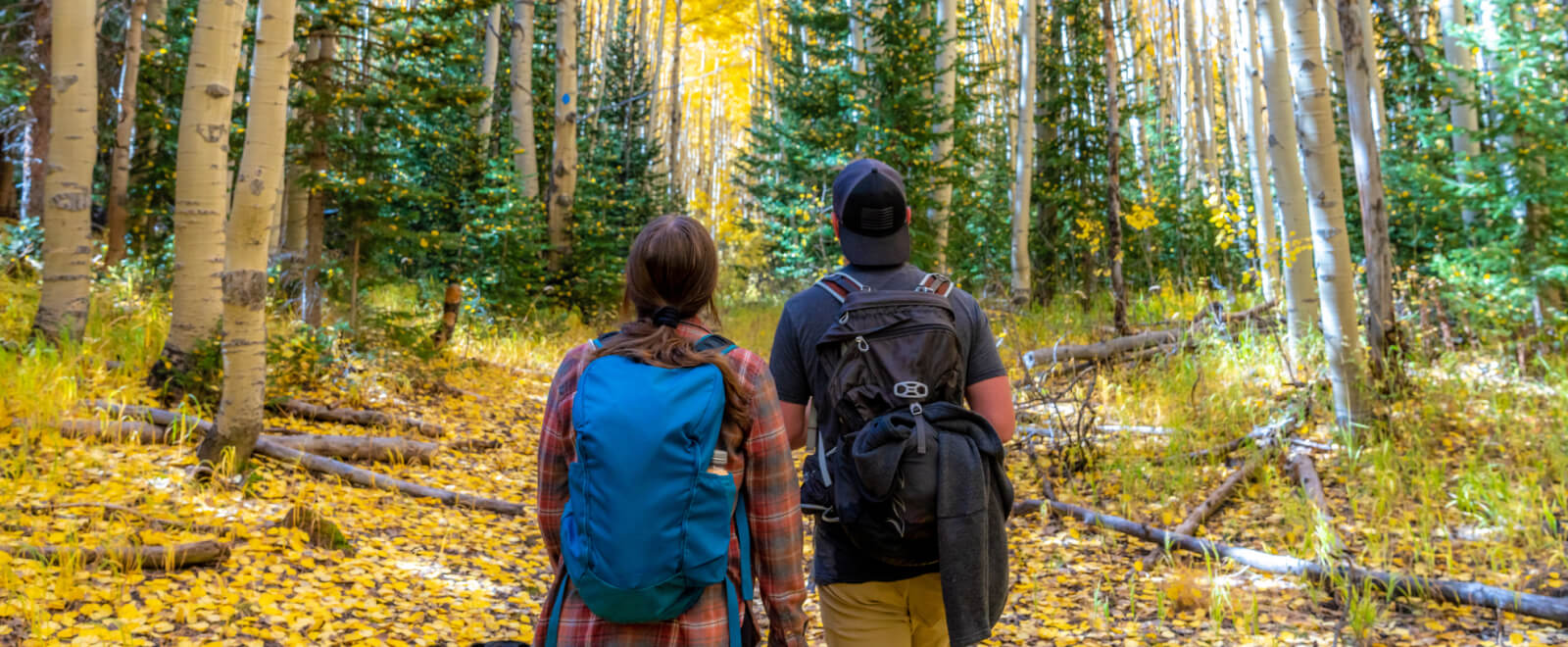 Two people hiking in a wooded area